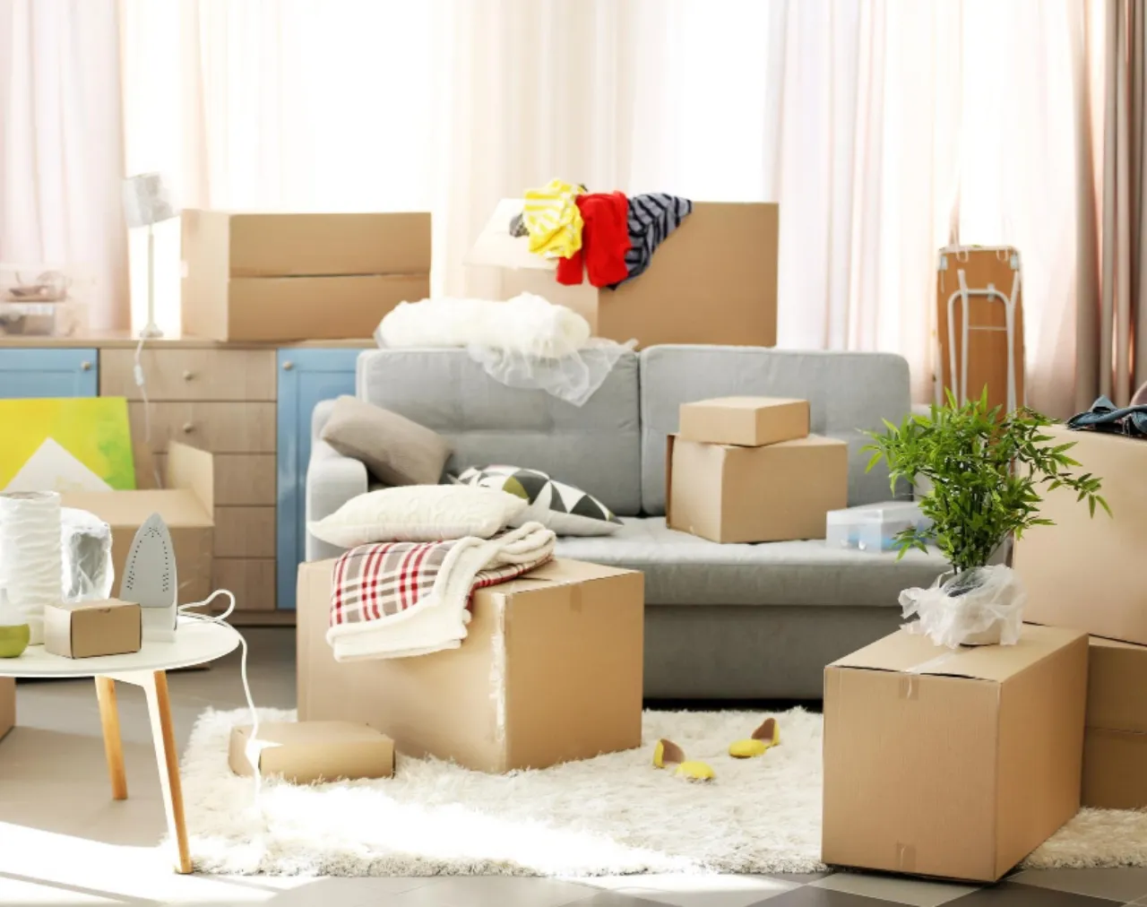 草刈り・剪定のイメージ